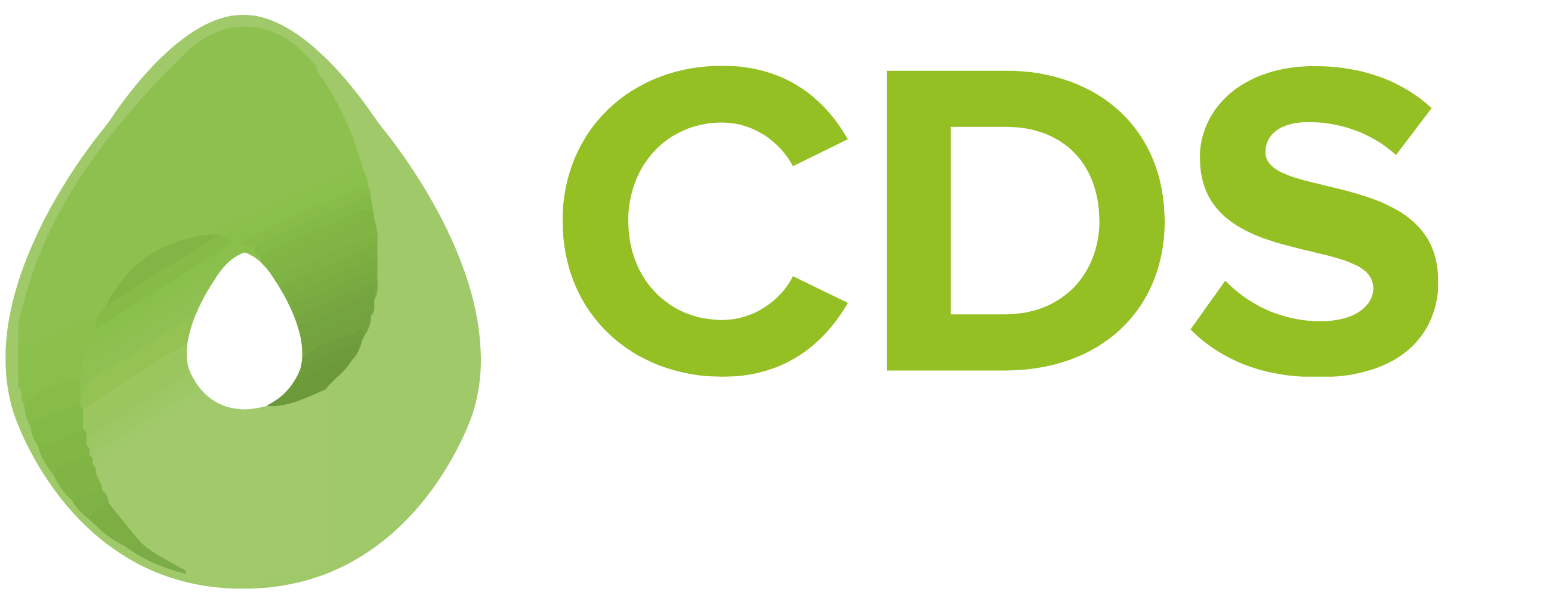 CDS Connect Logo